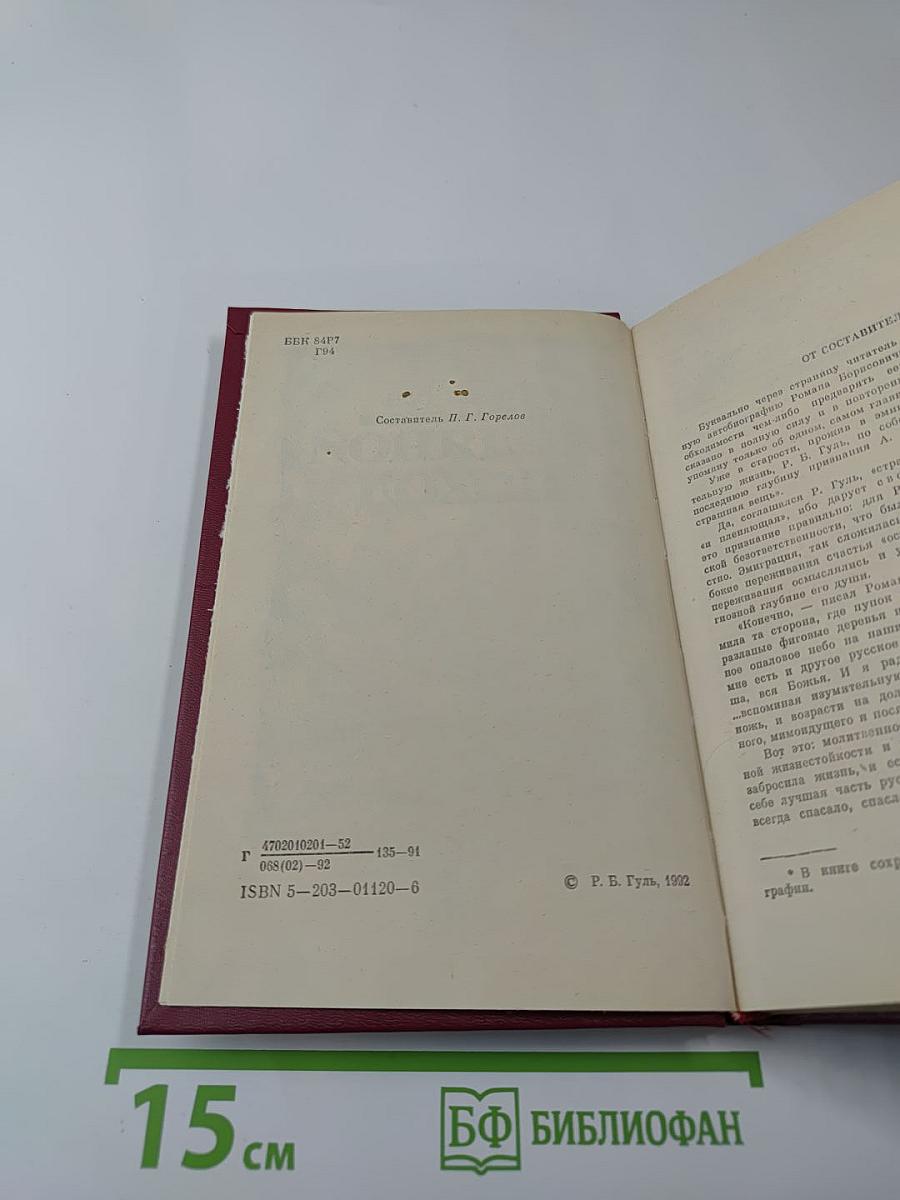 Ледяной поход