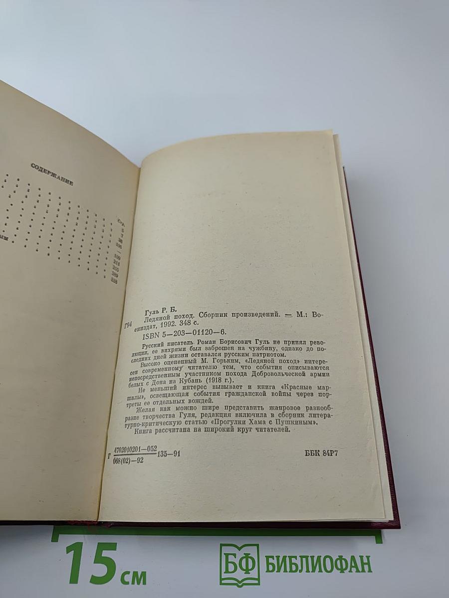 Ледяной поход