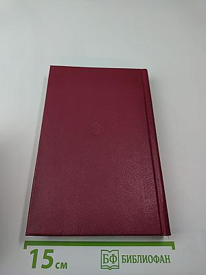 Ледяной поход