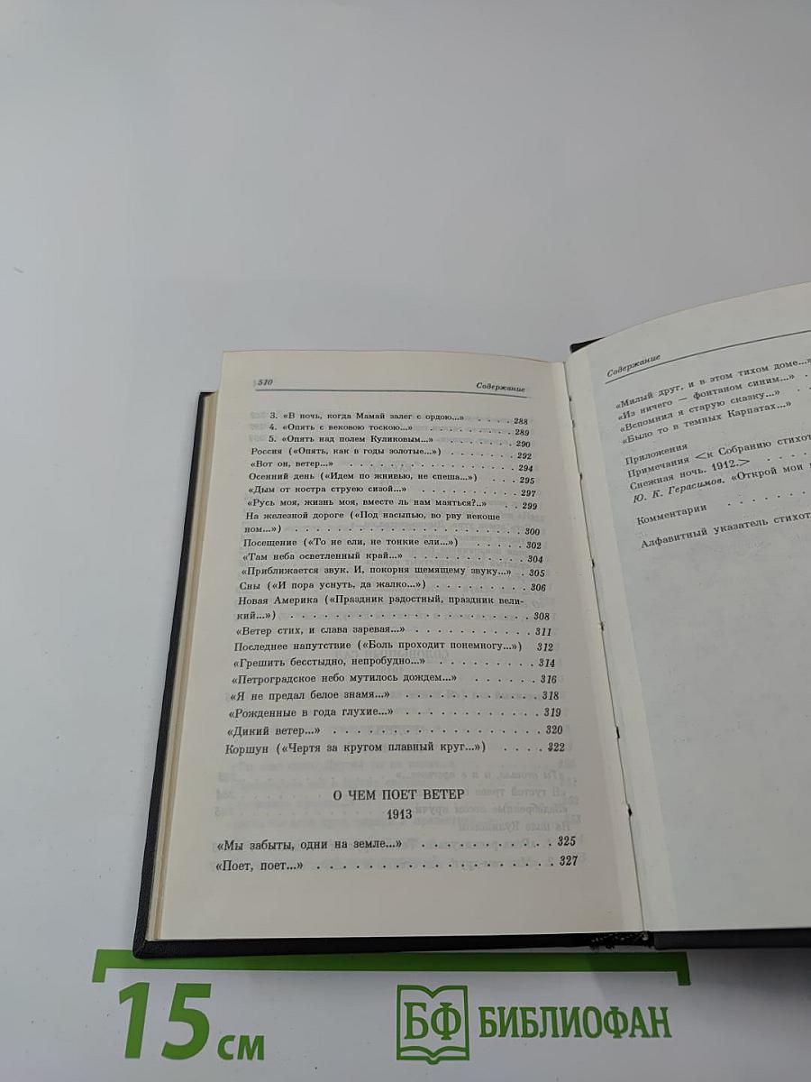 Александр Блок. Стихотворения. Книга третья (1907-1916)