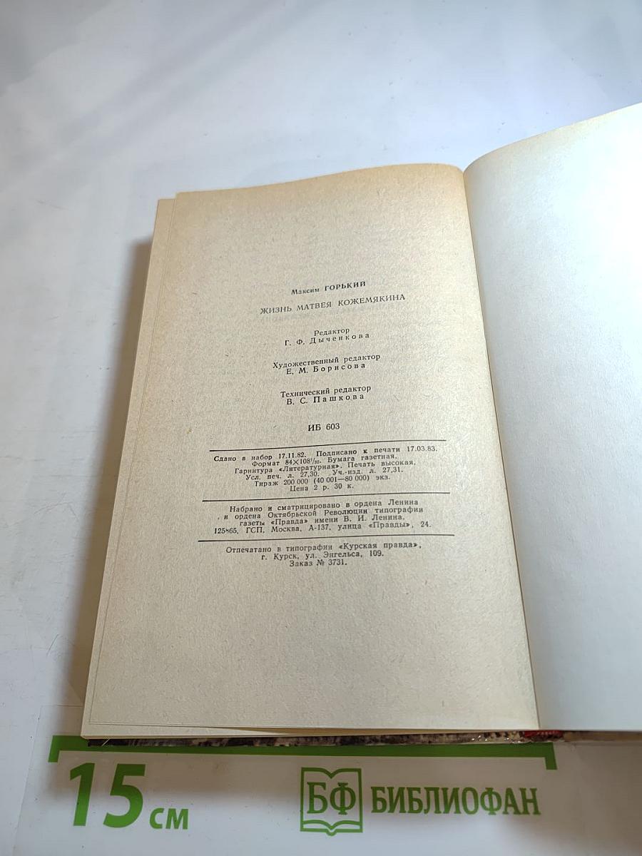 Жизнь Матвея Кожемякина