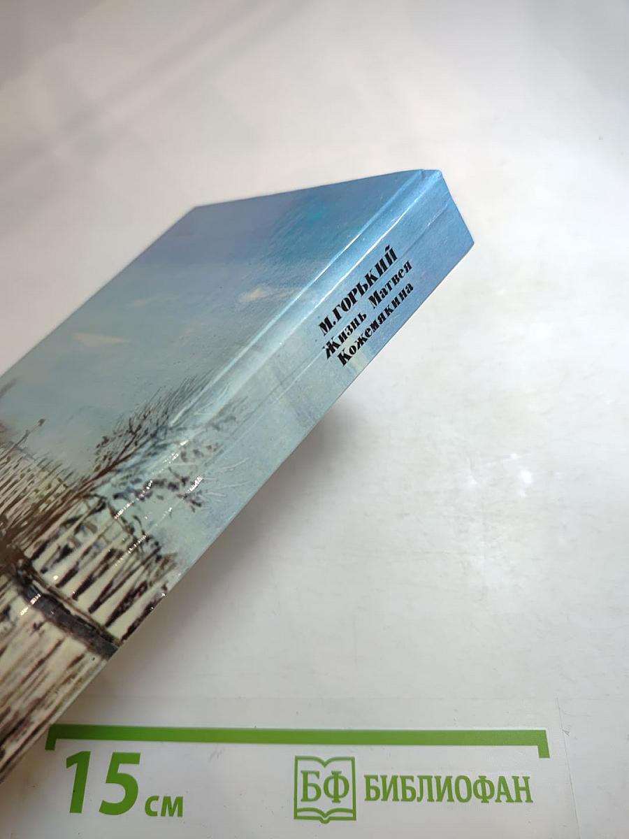 Жизнь Матвея Кожемякина