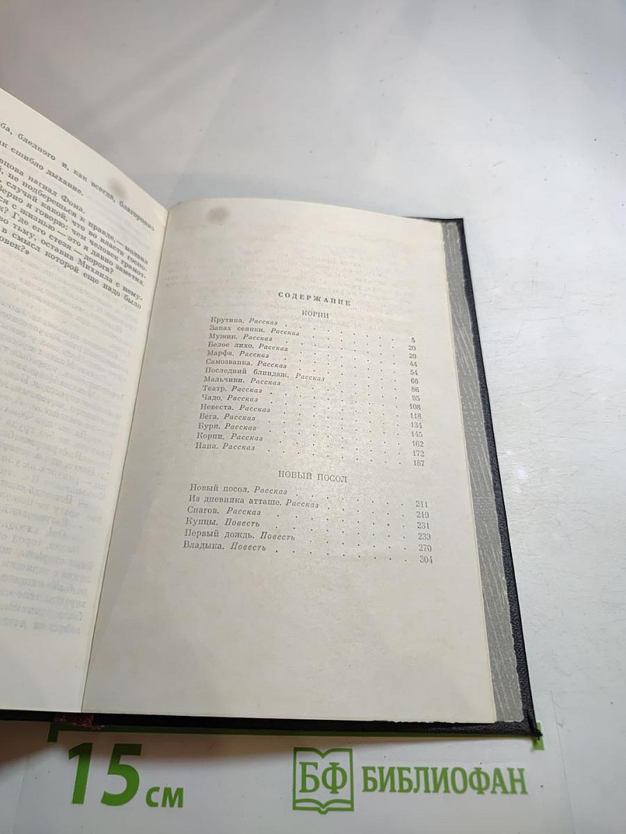 Новый посол