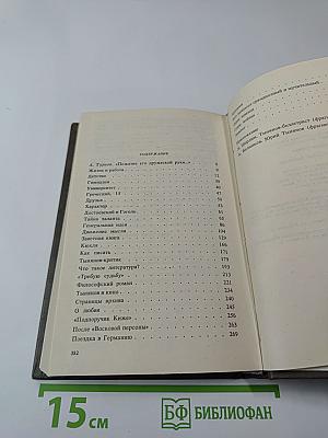 Новое зрение. Книга о Юрии Тынянове