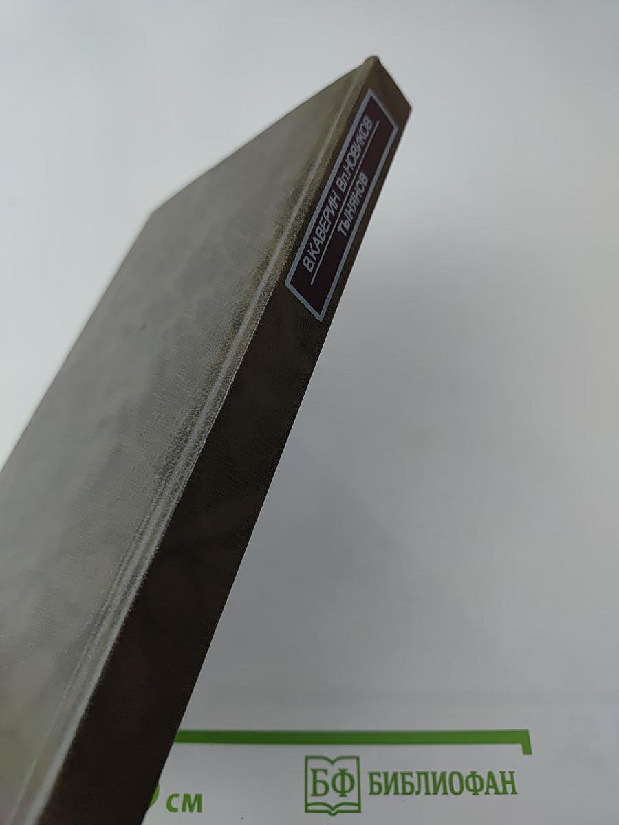 Новое зрение. Книга о Юрии Тынянове