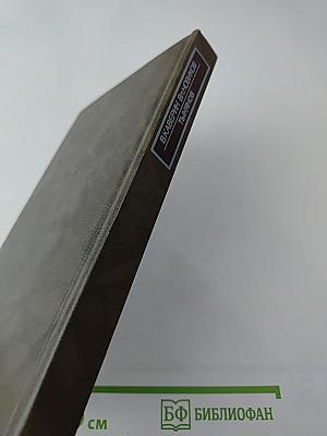 Новое зрение. Книга о Юрии Тынянове