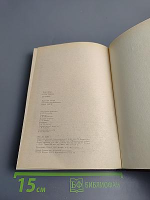 Часовые советских границ