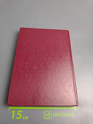 Часовые советских границ