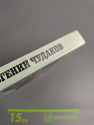 Евгений Чудаков