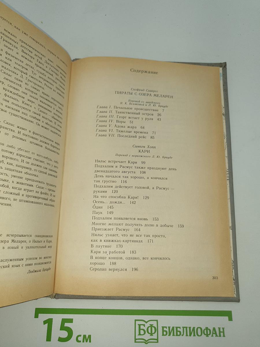 Пираты с озера Меларен