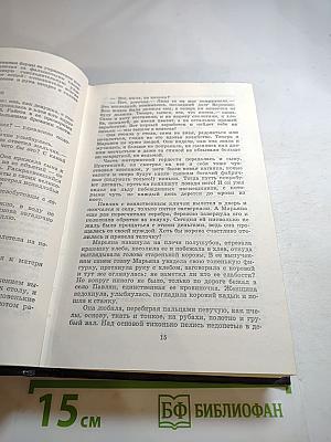 Большая родня. Том второй