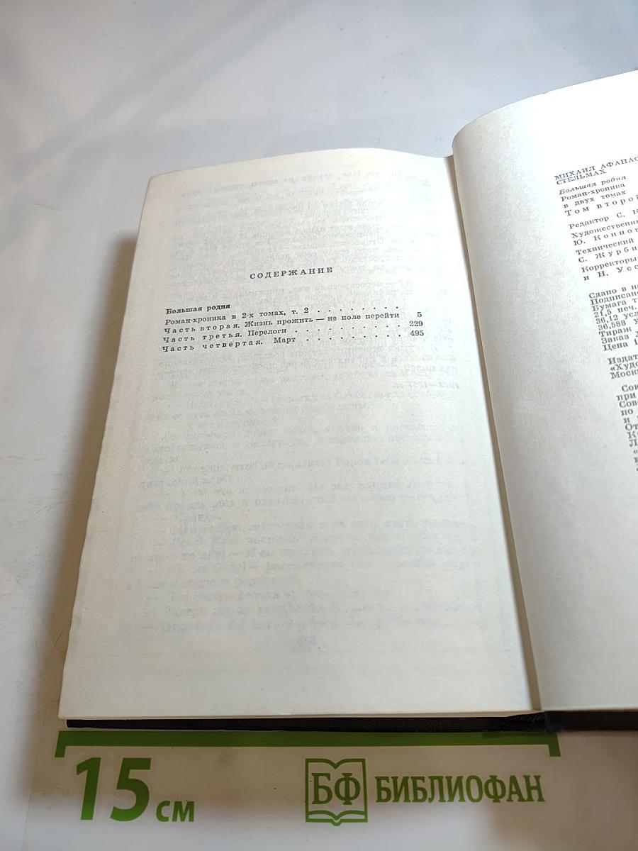 Большая родня. Том второй