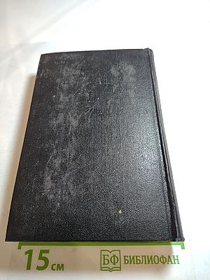 Большая родня. Том второй