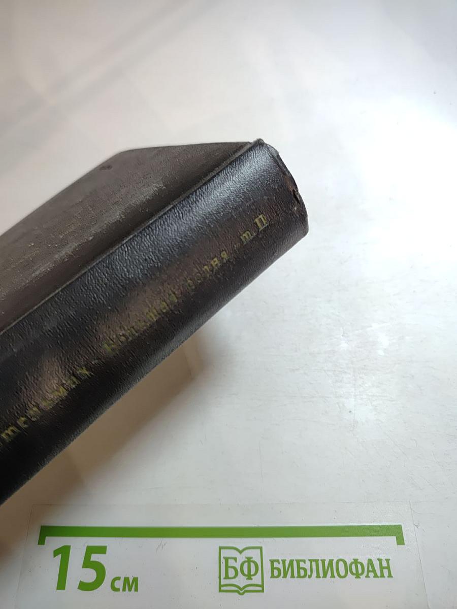 Большая родня. Том второй