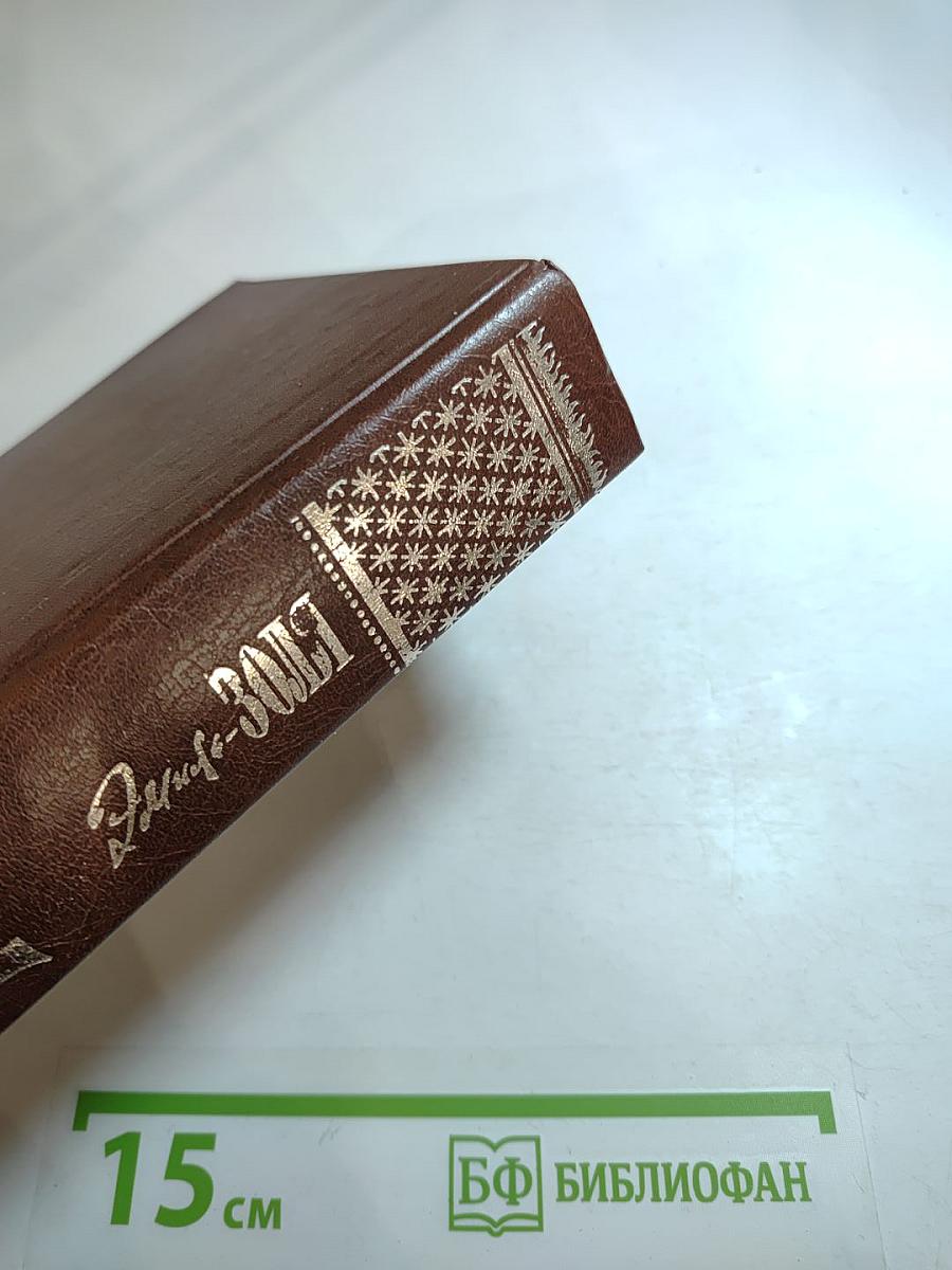 Собрание сочинений в XX томах. Том 6-7: Западня. Страница любви