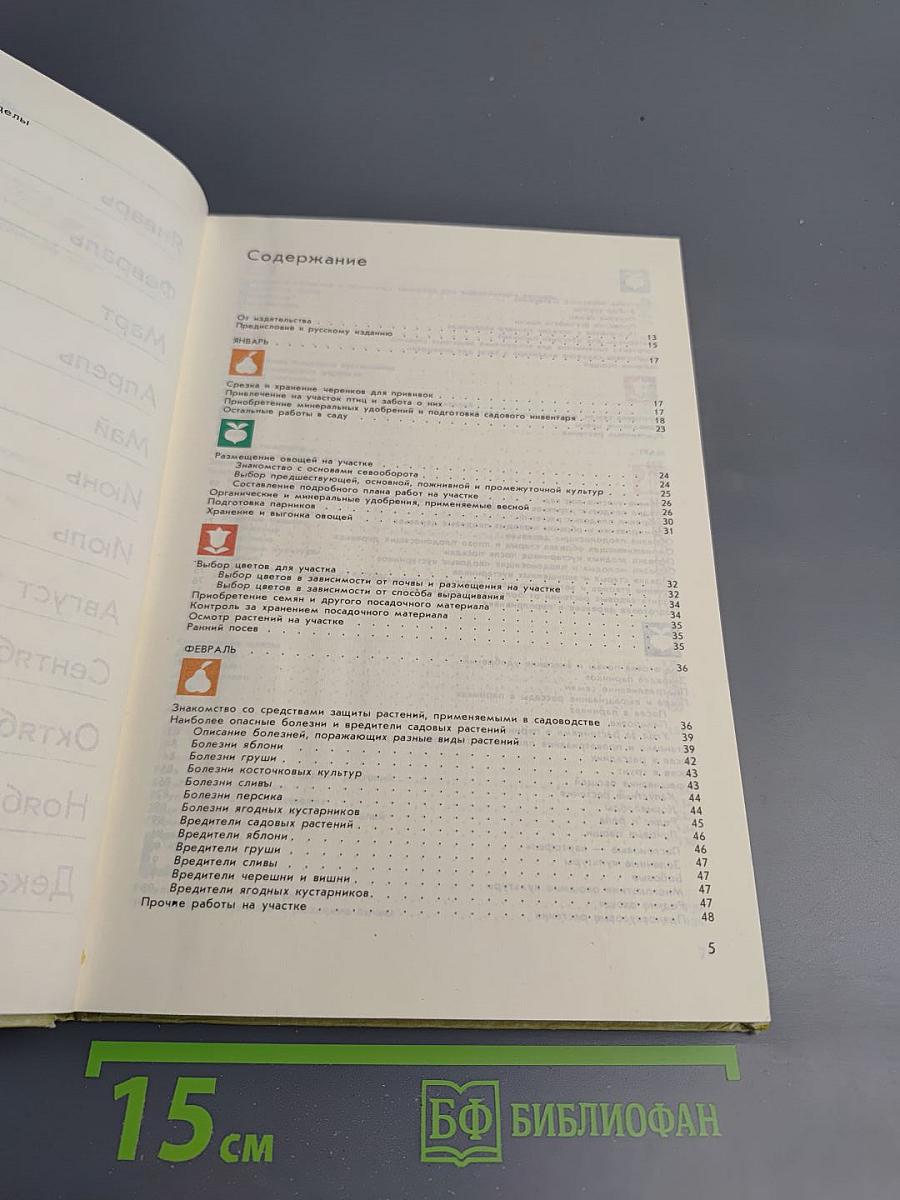 Год на садовом участке