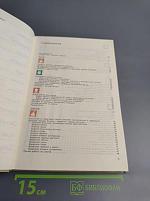 Год на садовом участке