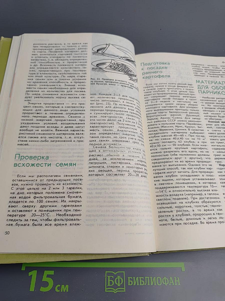 Год на садовом участке