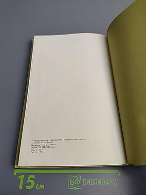 Год на садовом участке