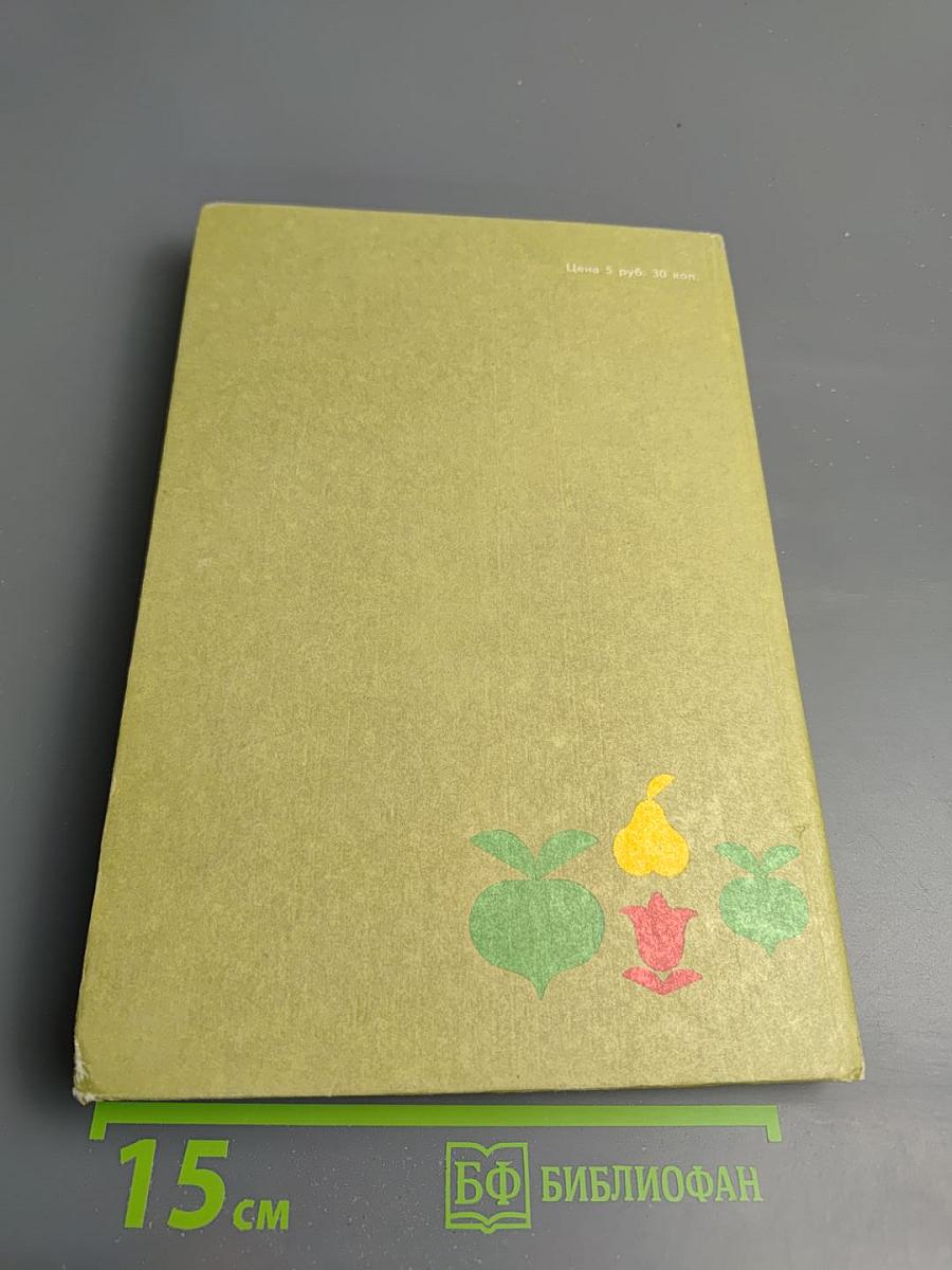 Год на садовом участке