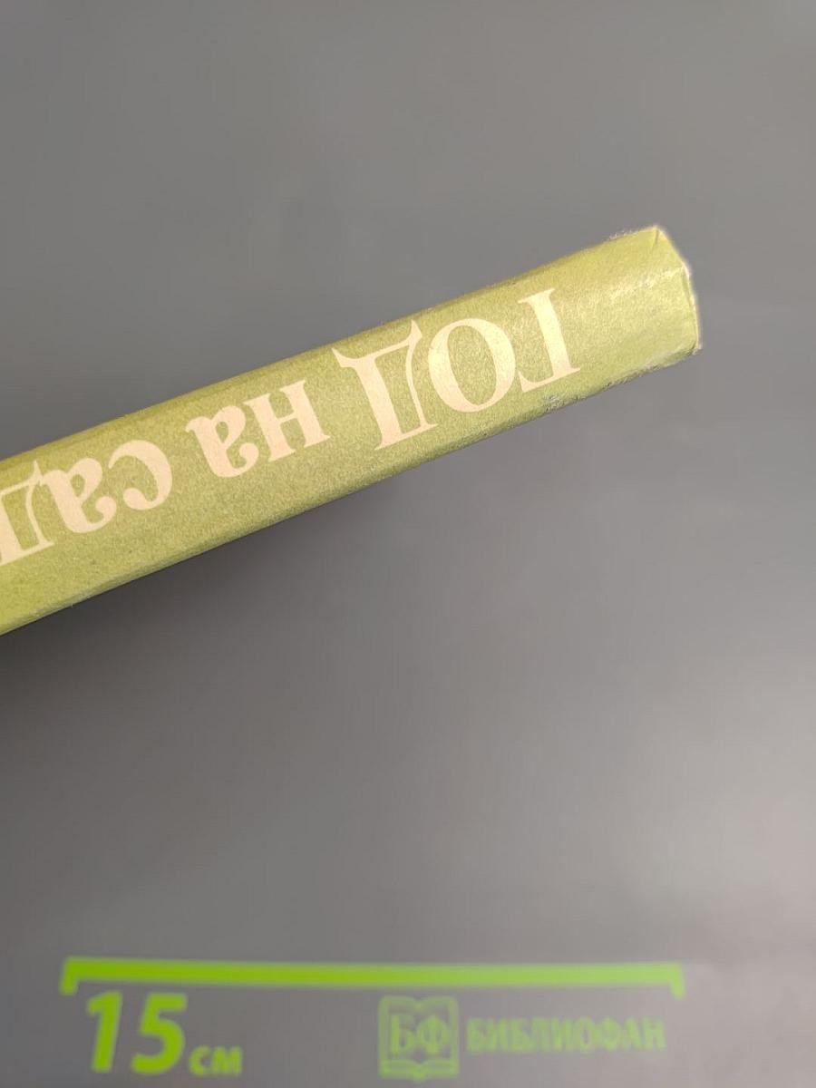 Год на садовом участке