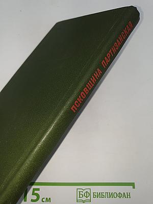 Псковщина партизанская