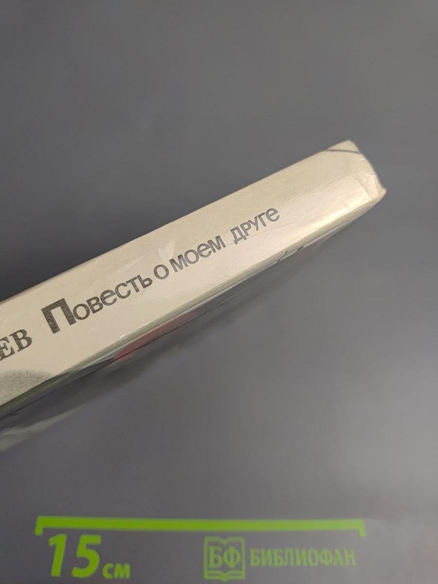 Повесть о моем друге