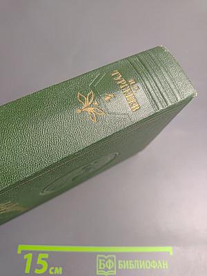 Собрание сочинений. Том четвертый: Дым, Новь