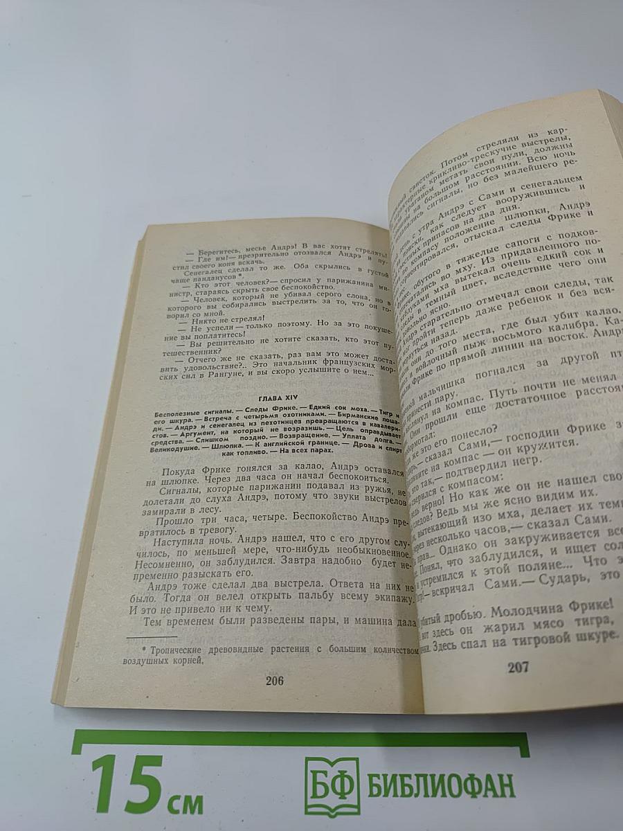 Приключения в стране львов