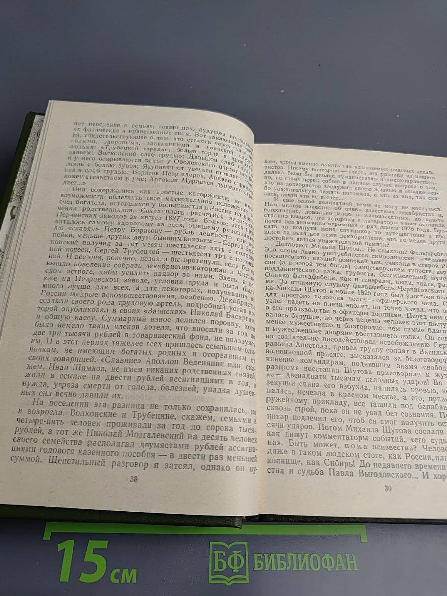 Память. Роман-эссе. Книга вторая