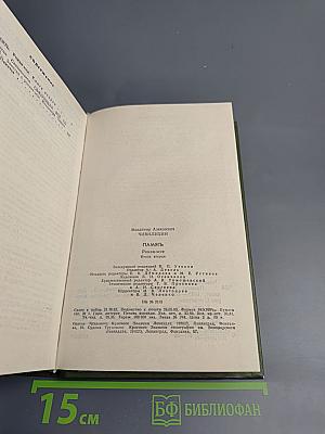 Память. Роман-эссе. Книга вторая