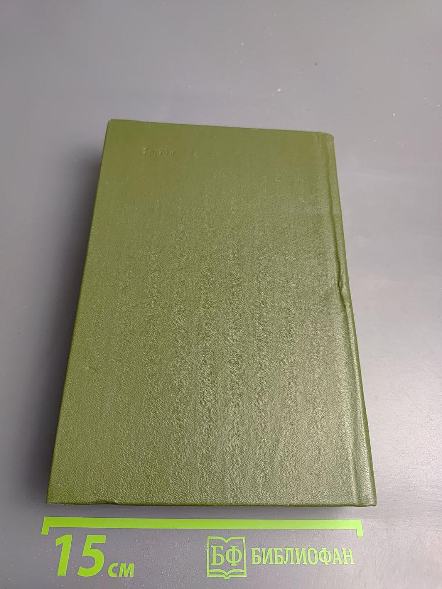 Память. Роман-эссе. Книга вторая