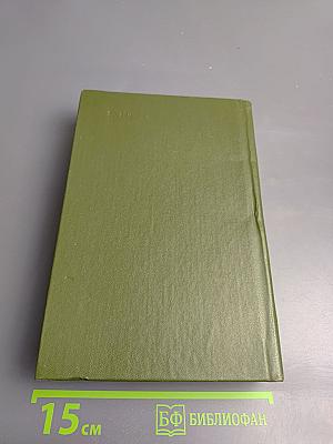 Память. Роман-эссе. Книга вторая