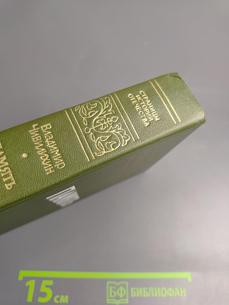 Память. Роман-эссе. Книга вторая