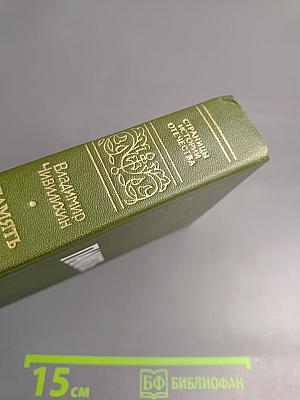 Память. Роман-эссе. Книга вторая