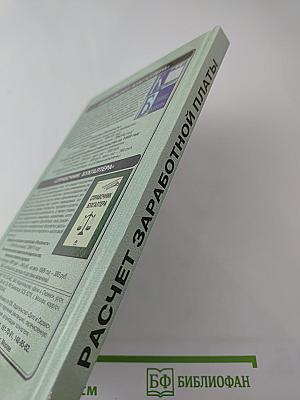 Расчет заработной платы на предприятиях всех форм собственности. Практическое руководство