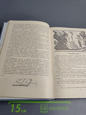 Звездный цвет