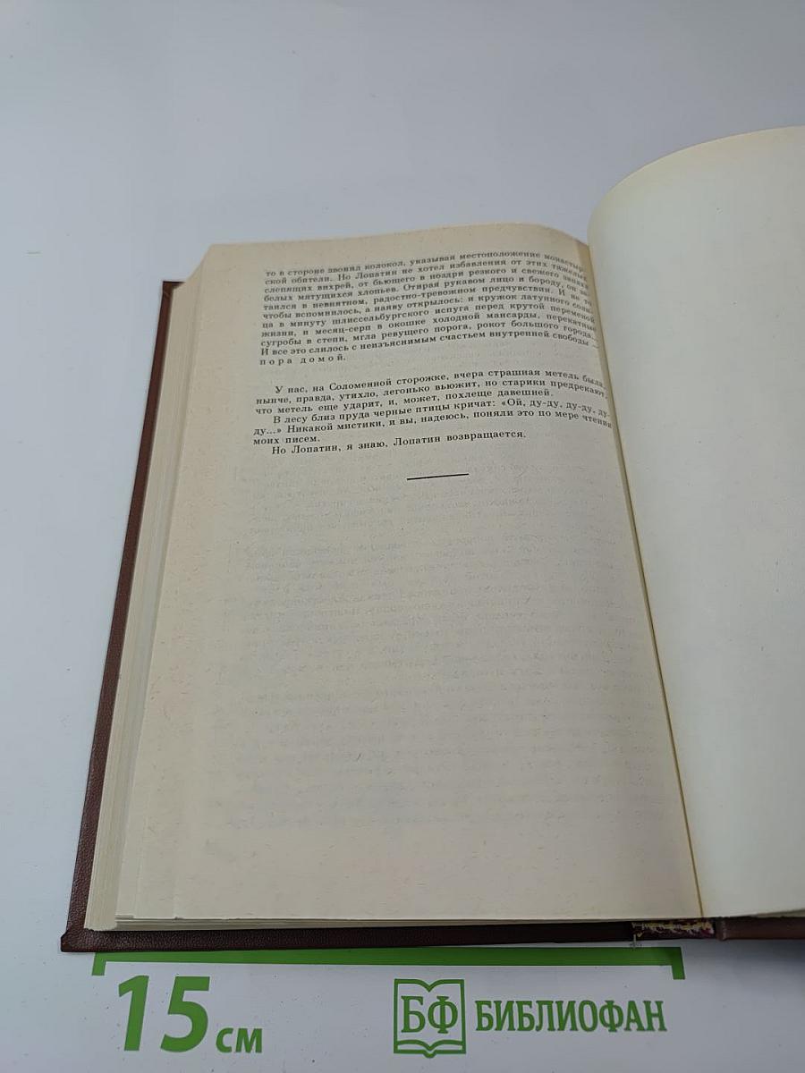 Соломенная сторожка (Две связки писем)