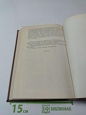 Соломенная сторожка (Две связки писем)