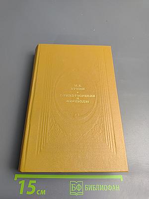Стихотворения и переводы