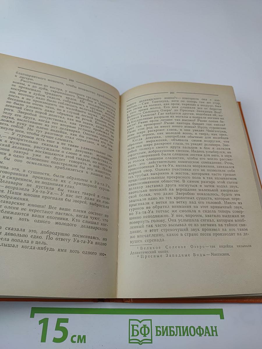 Зверобой, или Первая тропа войны