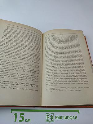 Зверобой, или Первая тропа войны