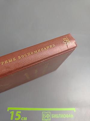Литературные воспоминания