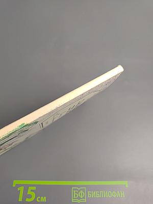 Кажинова печать (Записки Н.С. Мартынова) Версия