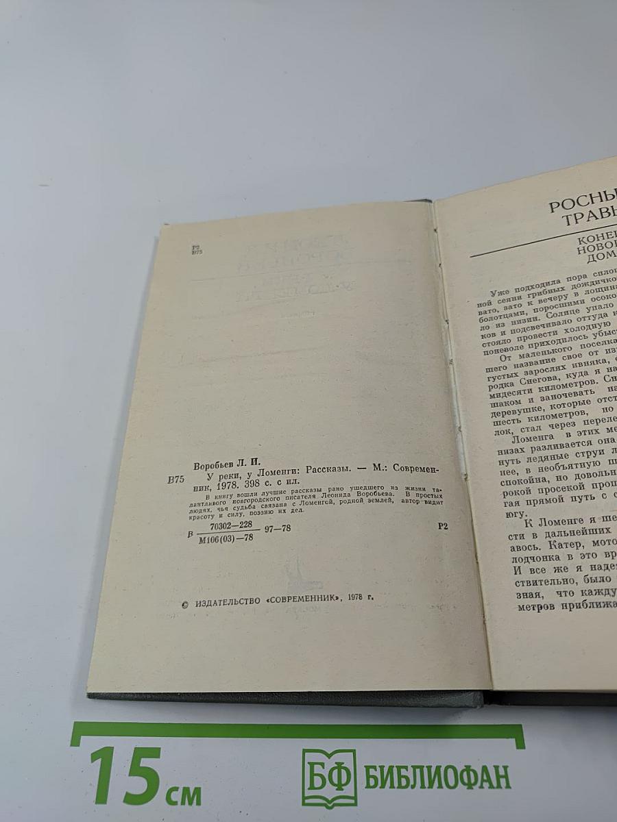 У реки, у Ломенги. Рассказы