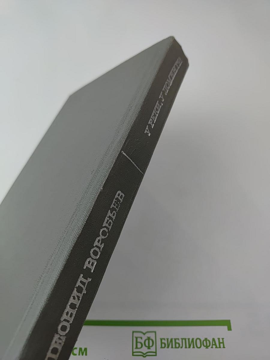 У реки, у Ломенги. Рассказы