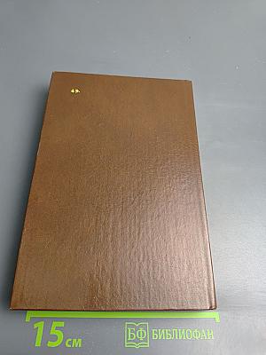 Писатели о писателях. Странная моя судьба