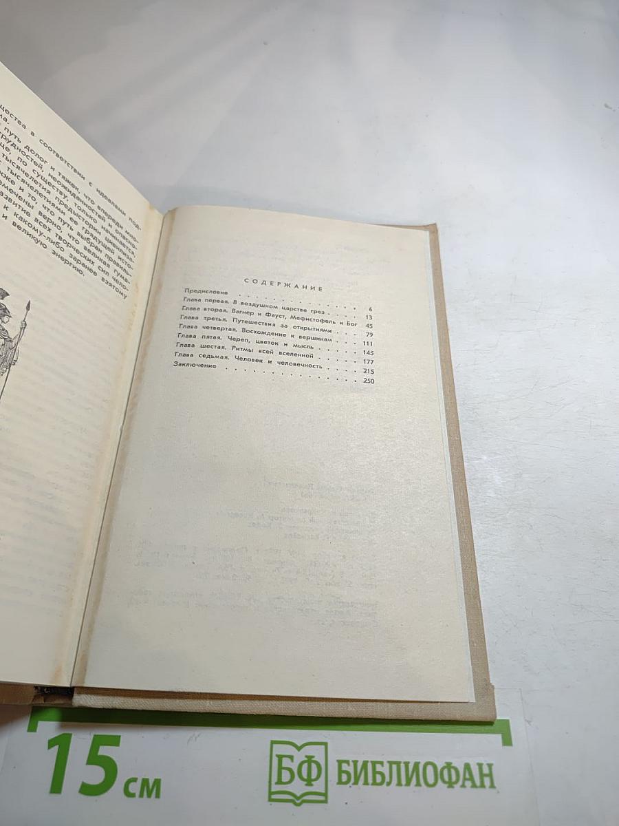 Сова Минервы