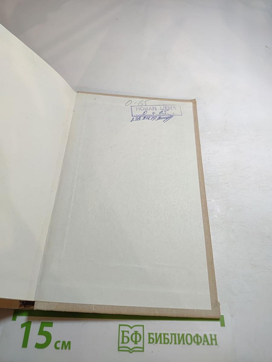 Сова Минервы