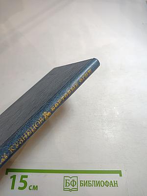 Бортовые огни